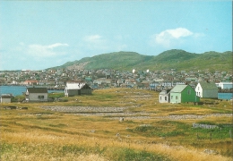 TOM - Saint Pierre - L'île Aux Marins. Au Fond Saint Pierre - Photo éd. Michel Briand & Fils / SEPT N° 149/104 3-95 - Saint-Pierre E Miquelon