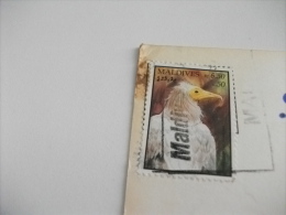 STORIA POSTALE FRANCOBOLLO COMMEMORATIVO Maldives Uccello Spiaggia - Maldiven