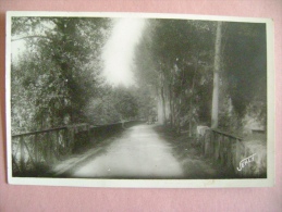 CPSM MONTAIGU   N°4 PONT RUSTIQUE PRES DES RUINES DU VIEUX CHATEAU - Montaigu