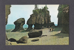 NEW BRUNSWICK - HOPEWELL CAPE - THE ROCKS - PHOTO MARTY SHEFFER - Other & Unclassified