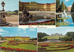 P4445 Schonbrunn  Wien Austria Front/back Image - Schönbrunn Palace