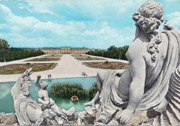 P4458 Wien Schonbrunn   Austria  Front/back Image - Palacio De Schönbrunn