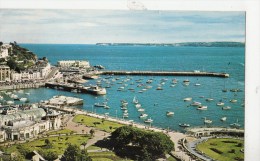 P4727 Torquai United Kingdom The Harbour From Waldon Hill  Dev  Front/back Image - Torquay