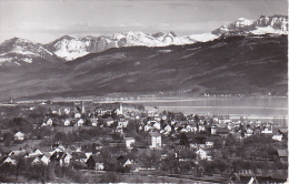 AK Männedorf Mit Den Alpen - 1956 (3230) - Männedorf