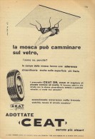 # CEAT Tyres 1950s Car Tires Italy Advert Pub Pubblicità Reklame Pneumatici Pneus Reifen Neumaticos India Mumbai - Altri & Non Classificati