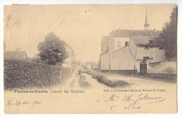 E3645 - FOURON - LE - COMTE  -  Couvent Des Ursulines - Fourons - Vören