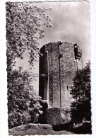 CPM N/B, Châtillon-Coligny(Loiret), La Vallée Du Loing, Donjon, Comtes De Sancerre, Éditions Valoire, Blois, Années 1960 - Chatillon Coligny