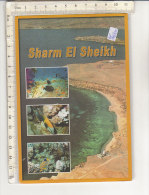 PO4891C# EGITTO - EGYPT - SHARM EL SHEIKH - RED SEA - PESCI TROPICALI  VG 1999 - Sharm El Sheikh