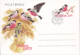 Norway Postal Stationery Ganzsache Entier 1977 Postbrev Weihnachten Christmas Jul Noel Natale Navidad Bird Vogel Oiseau - Entiers Postaux