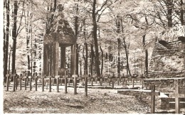 Rossignol Cimetiere Francais - Tintigny