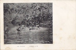 Océanie - Nouvelle Calédonie - Rivière De La Foa - Précurseur - Nieuw-Caledonië
