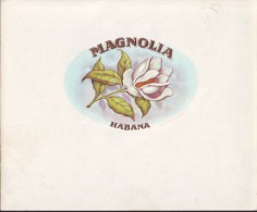 T42 CUBA TOBACCO OLD LEBEL. Circa 1930 MAGNOLIA - Labels