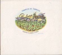 T46 CUBA TOBACCO OLD LEBEL Circa 1920 VILLACLARA SPORT - Etiketten