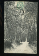 Seine Inférieure 76 Le Havre La Forêt De Montjeon Allée Sous Bois EBZ 121 1909 - Forêt De Montgeon