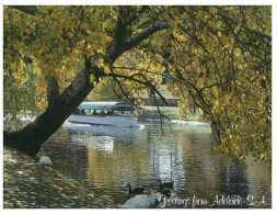 (451) Australia - SA - Adelaide Torrens River And Popeye Boat - Adelaide