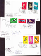 Israel On FDC Addressed - 1963 - Birds - Lettres & Documents