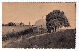 CPSM Souk-Ahras (Algérie), Marabout De Sidi Messaoud, Années 1940 - Souk Ahras