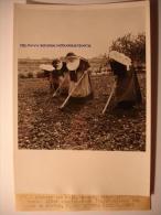 PHOTO PROPAGANDE ANNEES 1940 - RELIGIEUSES AGRICULTRICES AGRICULTURE - TIRAGE D´EPOQUE - 13X18 - Professions