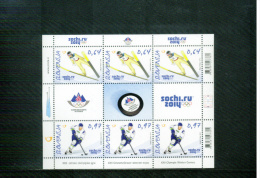 Slowenien / Slovenia 2014 Olympic Games Sochi  KB / Sheet Of 3 Sets Postfrisch / MNH - Hiver 2014: Sotchi