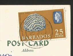 BARBADOS W.I. Bathsheba Coast 1968 - Barbades