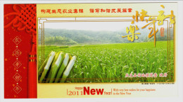 Vegetable Zizania Latifolia,CN 11 Qingyuan Building Ecological Agriculture Advert Pre-stamped Card,specimen Overprint - Vegetables