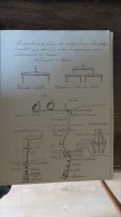 CAHIER ECOLE PRIMAIRE SUPERIEURE NOLAY AGRICULTURE 1901 - Landbouw