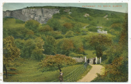 Pathway To Bryn Euryn - Denbighshire