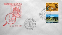 Iceland 1975       MiNr.  Special Cancel Cover ( Lot 2877 ) - Cartas & Documentos