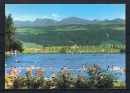 (99) AK Alpenfreibad - Scheidegg Im Allgäu - Lindenberg I. Allg.