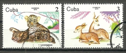 Cuba ; 1979 Young Zoo Animals - Oblitérés