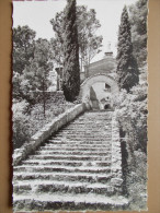 83 - COTIGNAC - Notre Dame Des Graces - Escalier Louis XIV. (CPSM) - Cotignac