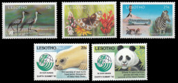 (017-18) Lesotho  Animals / Animaux / Nature Conservation / Tiere / Dieren  ** / Mnh   Michel 911-13 + 1011-12 - Lesotho (1966-...)