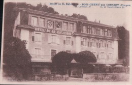 Hôtel De La Basilique BOIS CHENU Par COUSSEY - Coussey