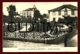 FIGUEIRA CASTELO RODRIGO - JARDIM MUNICIPAL - 1910 PC - Guarda