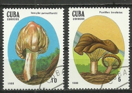 Cuba; 1988 Poisonous Mushrooms - Oblitérés