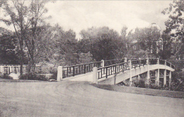 The Lamont Bridge Smith College Northampton Massachusetts Albertype - Northampton