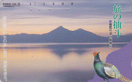 Télécarte Japon / 410-8884 - Oiseau FAISAN - PHEASANT Bird Japan Phonecard - FASAN Vogel Telefonkarte - 2485 - Gallinacés & Faisans
