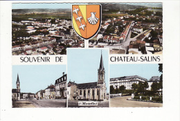 Carte 1960 Souvenir De CHATEAU SALINS / Multivues : Vue Générale,église,rue - Chateau Salins