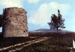 34 MEZE Le Moulin - Mèze