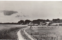 Heelsum   Doorwerth    Zandweg Door De Enk                   Scan 7099 - Renkum