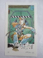 Ex Libris - CRISSE - KOOKABURRA T1 - NS - 1997 - Illustrators A - C