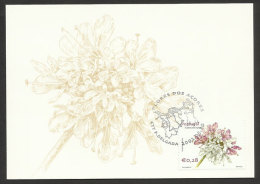 Portugal Açores Fleur Scabiosa Nitens Carte Maximum 2002 Azores Flower Maxicard - Maximumkaarten