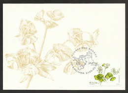 Portugal Açores Fleur Euphorbia Azorica Carte Maximum 2002 Azores Flower Maxicard - Maximumkarten (MC)