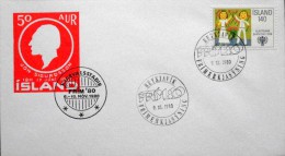 Iceland 1980  MiNr.543  Special Cancel Letter   ( Lot 2983 ) - Covers & Documents