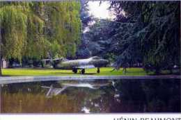 62 HENIN BEAUMONT  Dans Le Jardin Public Une Curiosite, Photo Peron, Avion - Henin-Beaumont