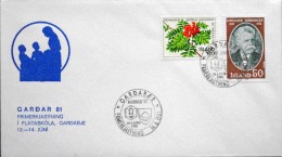 Iceland 1981  MiNr.  Special Cancel Cover  ( Lot 3116 ) - Lettres & Documents