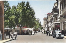 TIARET   CARTE ANIMEE   LA RUE ALBERT SOLER - Tiaret