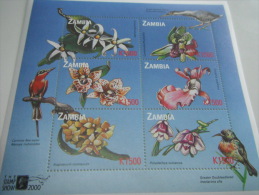 Zambia-Flowers-Orchids - Orchidées