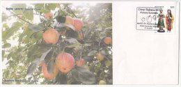 Special Cover, Chinar Philately Exhibition 2011, Kashmir Apple, Fruit, India - Brieven En Documenten