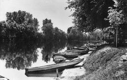 CPSM  -  Les Bords De La Seine à HARDRICOURT  (78) - Hardricourt